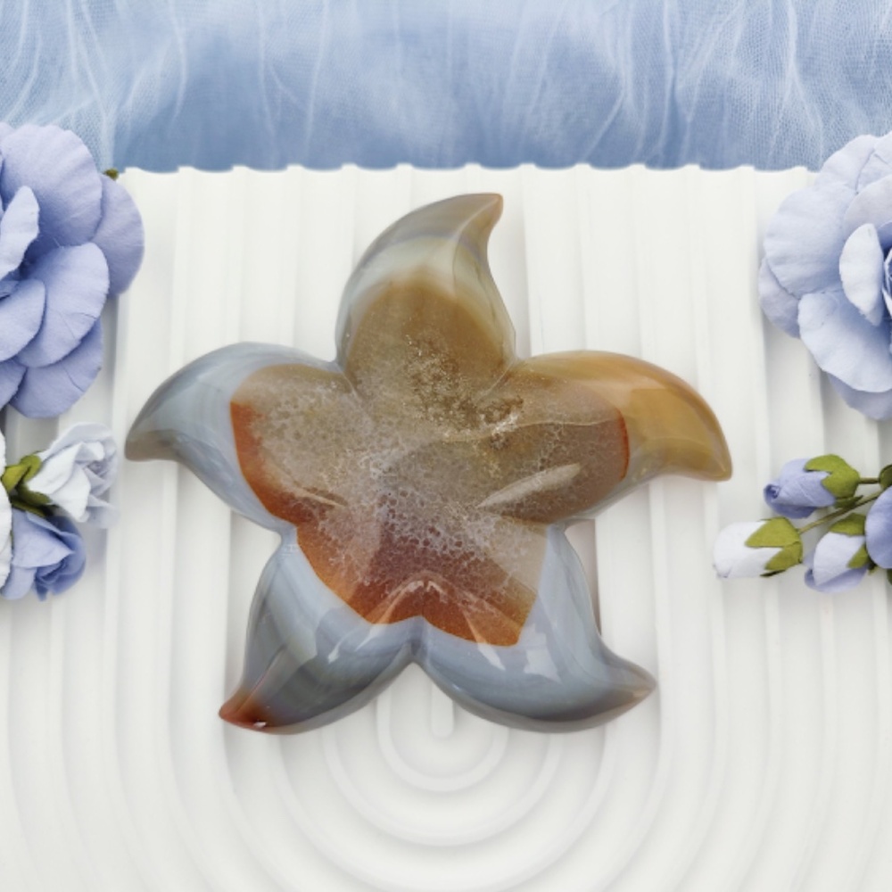 Druzy Agate Starfish Crystal Carving Blue Yellow Brown